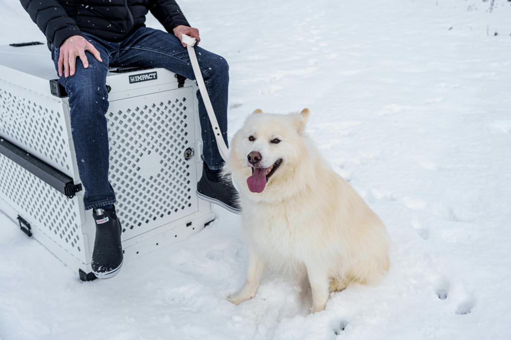 Building Your Dog’s Confidence Through Crate&nbsp;Training