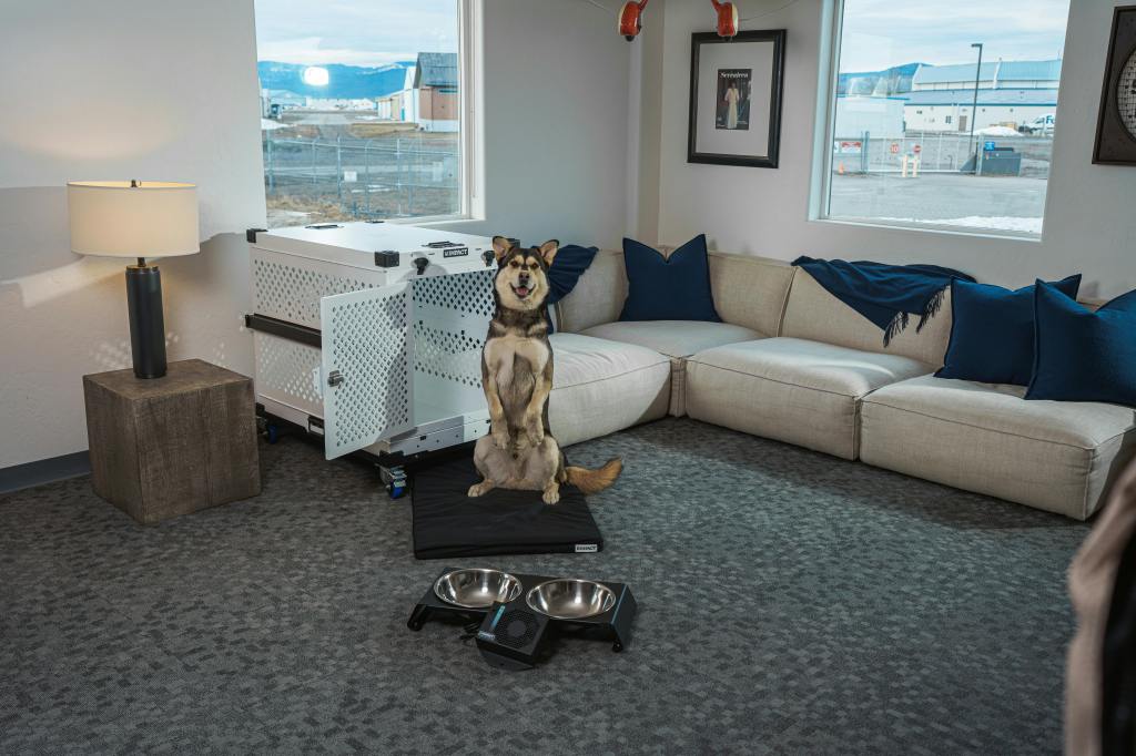 What to Do If Your Dog Resists Crate&nbsp;Training