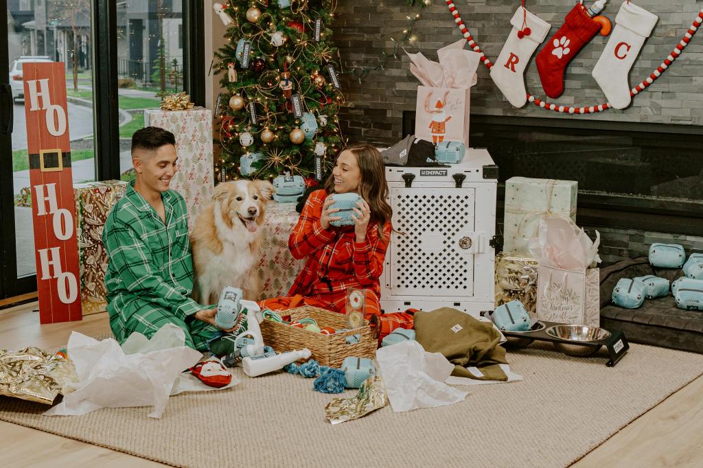 Using a Crate as a Preventative Training&nbsp;Tool