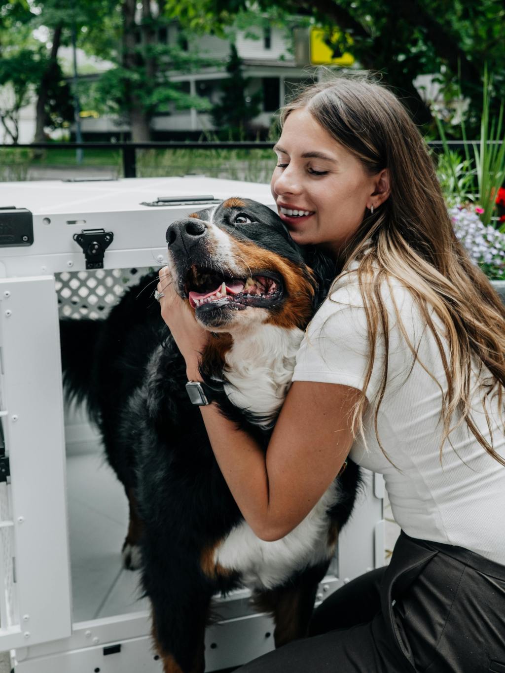 Crate Training as a Foundation for Reliable&nbsp;Recall