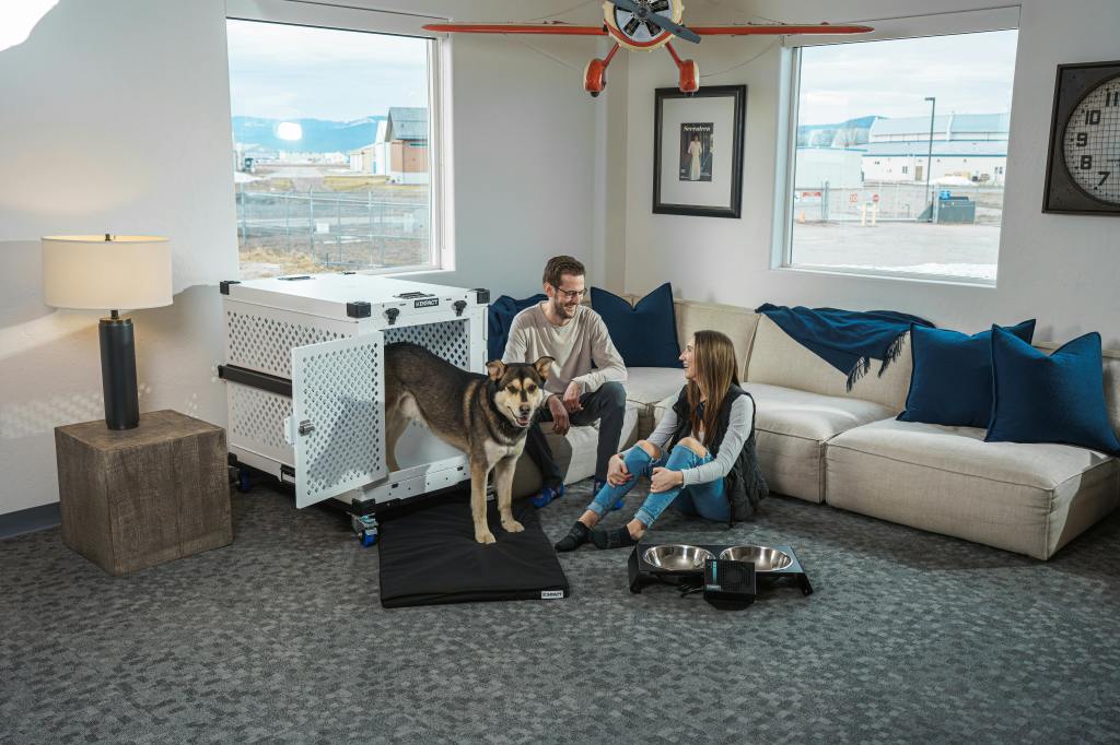 Why Every Well-Trained Dog Knows Crate&nbsp;Cues